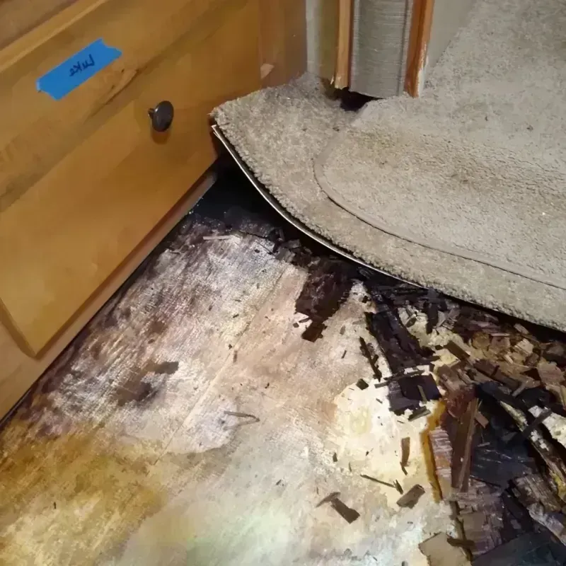 Wood Floor Water Damage in Madison, NJ